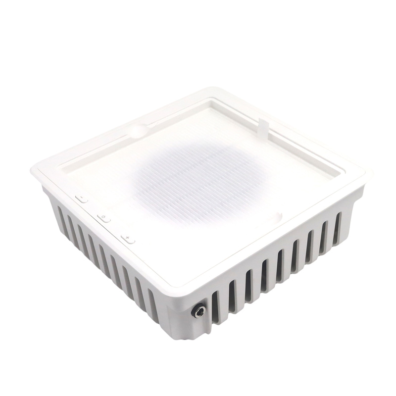 שואב אבק ציפורניים מקצועי